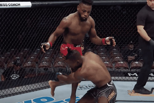 Cận cảnh pha phi người lên gối khiến đối thủ gục ngã cực kỳ đáng sợ của võ sĩ Brazil