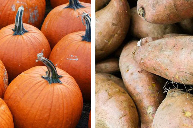 Bí đỏ và khoai lang: Loại thực phẩm nào giàu dinh dưỡng hơn?