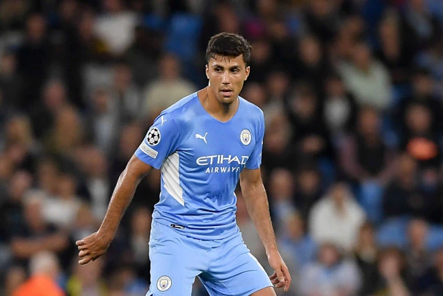 Tiền vệ: Rodri (Man City).