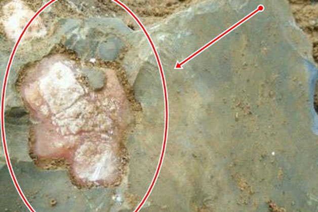 Cuốc đất bất ngờ đụng trúng tảng đá, chàng trai vô tình khám phá "bí mật hiếm có" bên trong