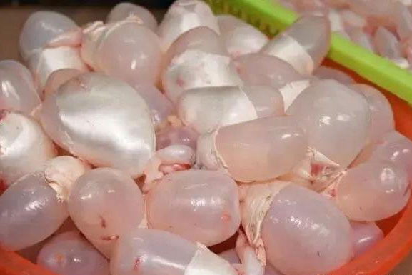 2 bộ phận đắt giá nhất của con cá, sánh ngang "thuốc bổ cao cấp" nhưng nhiều người bỏ phí