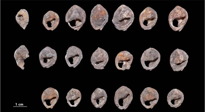 Choáng váng kho trang sức cổ xưa nhất thế giới: 150.000 tuổi - Ảnh 1.