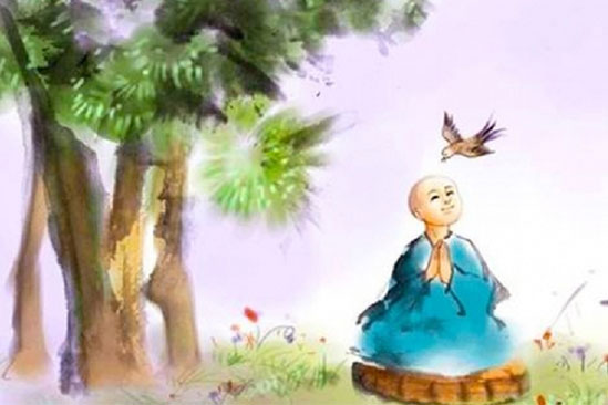 Con người sống trên đời: 30 tuổi nỗ lực làm giàu, 50 tuổi chọn cách buông bỏ để an phận tuổi già