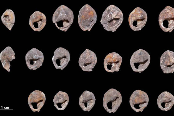 Choáng váng kho trang sức cổ xưa nhất thế giới: 150.000 tuổi