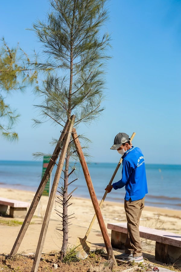 Trồng cây xanh phù hợp với khí hậu và điều kiện thời tiết tại địa phương.