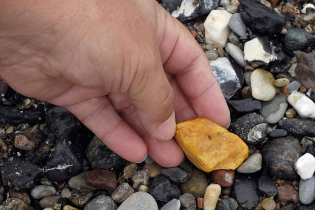 Những bí ẩn về long diên hương