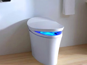 Vì sao bồn cầu thường có màu trắng muốt dù rất dễ bẩn?