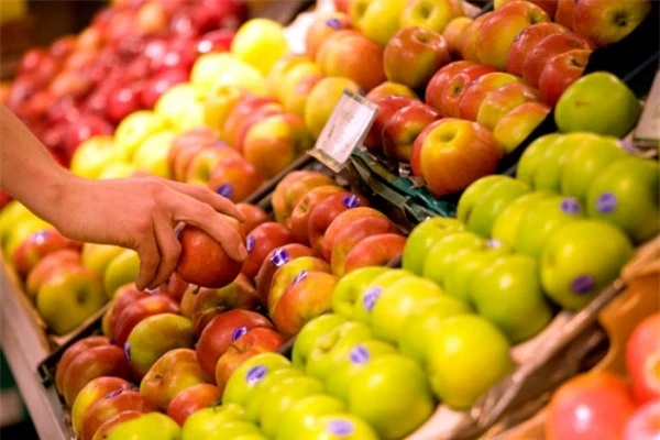   Các quả táo tươi mọng bày bán trong siêu thị thực chất đã được thu hoạch từ khoảng 5 - 6 tháng trước đó. Chúng được bảo quản trong tủ lạnh đặc biệt với oxy ở mức cực thấp để tránh hỏng hóc  
