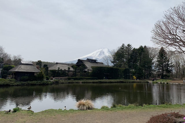 Vẻ đẹp núi Phú Sỹ Nhật Bản qua lời tự sự của du khách