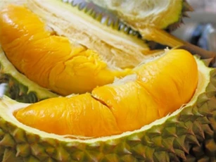 Mua sầu riêng tôi luôn chú ý 7 điểm này, vừa ngon lại không lo ngâm hóa chất ép chín