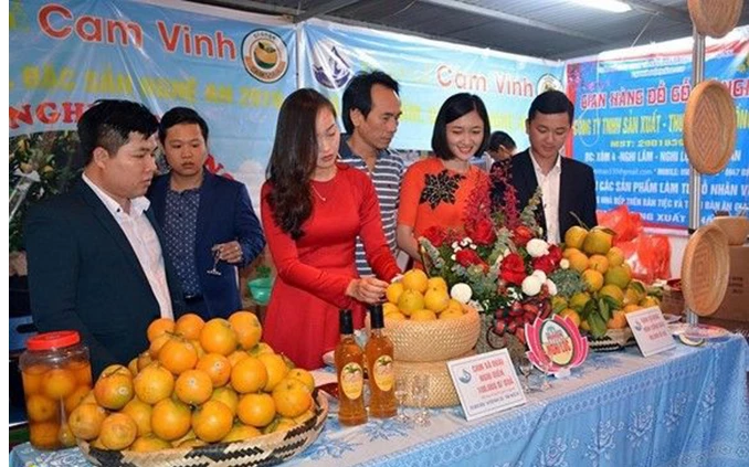 Kết nối đưa cam Vinh lên sàn điện tử