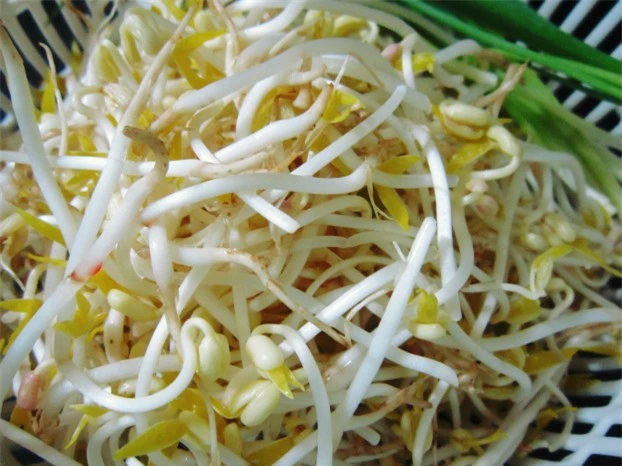 5 loại rau củ ngậm đầy độc tố, người Việt vẫn ăn hàng ngày mà không biết 2