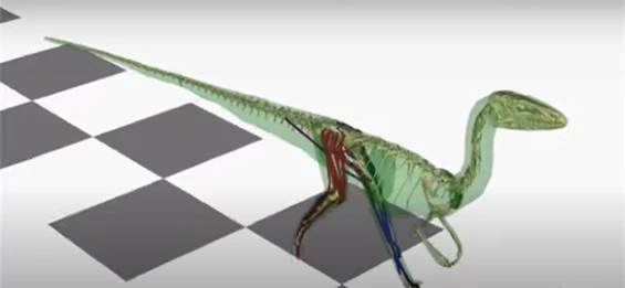 Chiếc đuôi dài giúp khủng long hai chân Coelophysis... chạy nhanh hơn - Ảnh 1.