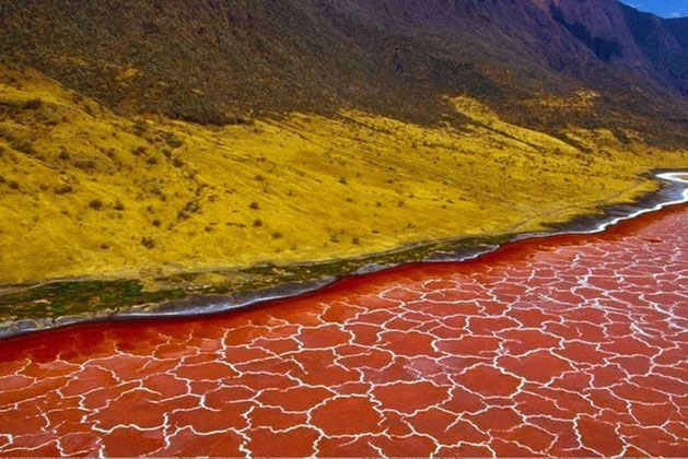 Kỳ bí hồ nước đỏ như máu, chim lao xuống biến thành đá - Hóa thân của Medusa?