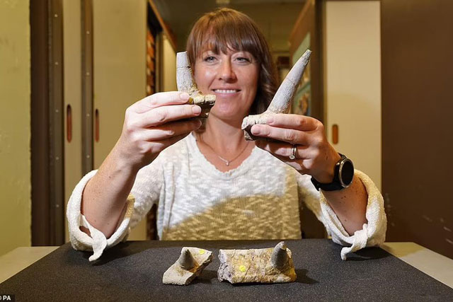 Sừng "hóa đá'' tiết lộ quái vật 168 triệu tuổi, chưa từng thấy trên thế giới