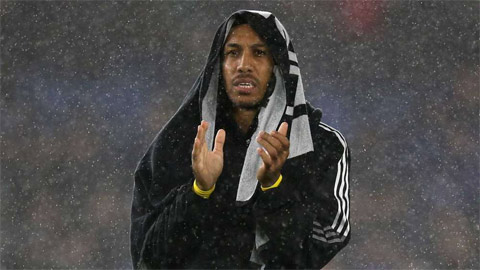 Arsenal có thành tích tệ nhất sau 35 năm với trận hòa Brighton