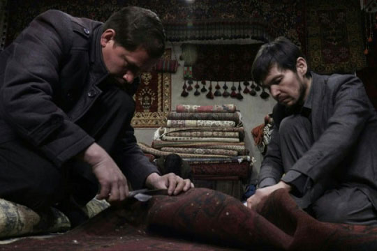 Những người quên cái chết trong hành trình săn thảm cổ