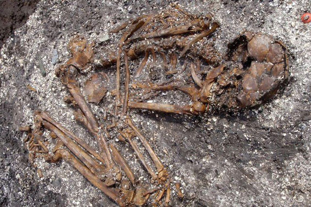 Bộ xương cổ đại tiết lộ tổ tiên chưa từng được biết đến của người Nhật trước đây