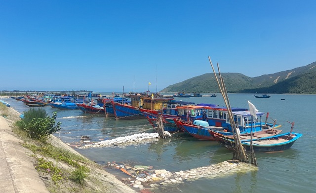 Bài 2: Người trong cuộc "minh oan" cho Công ty Thành Phát