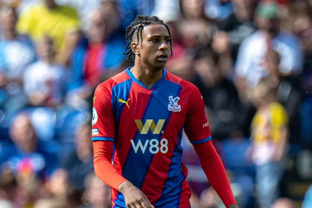 Tiền vệ: Michael Olise (Crystal Palace).