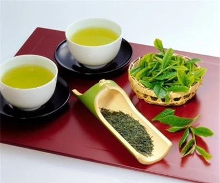 Một trong những thực phẩm ngừa ung thư buồng trứng rất quen thuộc đó là trà xanh