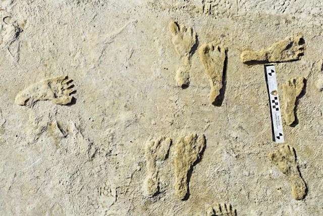 Các dấu chân hóa thạch của con người cổ đại được tìm thấy tại Công viên Quốc gia White Sands thuộc tiểu bang New Mexico, Mỹ. Ảnh AP.
