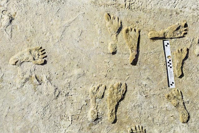 Dấu chân người cổ đại Bắc Mỹ được tìm thấy ở tiểu bang New Mexico
