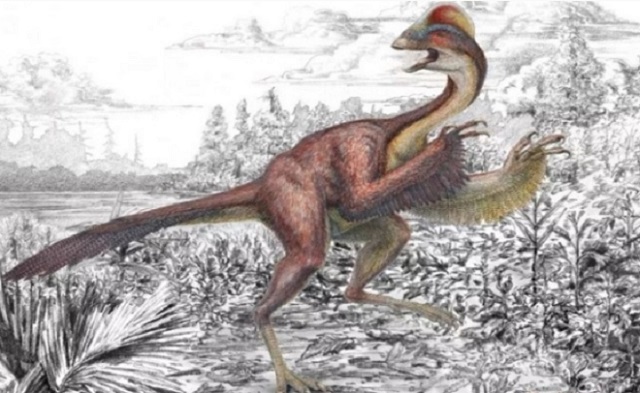 Kỳ dị hóa thạch 'gà địa ngục' cao 1,5 m