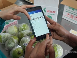 Cần Thơ: Hỗ trợ  đưa hộ sản xuất nông nghiệp tham gia sàn thương mại điện tử