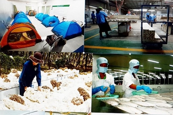 Chuỗi cung ứng bị đứt gãy: Doanh nghiệp Việt khó mô hình hóa và đánh giá rủi ro