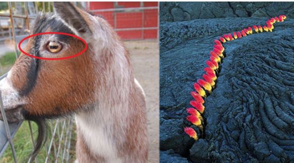 13 bức ảnh cho thấy thế giới này luôn tồn tại những điều dị thường khó tin