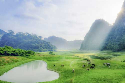 Gần Hà Nội có một thảo nguyên đổi cảnh theo mùa, xách ba lô đi ngay khi hết dịch