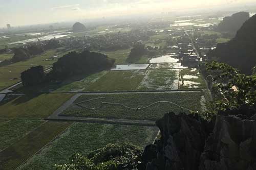 Hang Múa Ninh Bình đẹp thơ mộng mùa sen nở