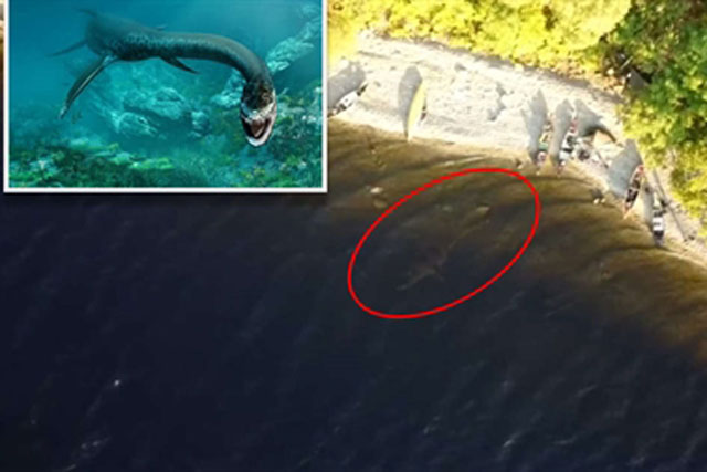 Video nghi quay được quái vật hồ Loch Ness gây xôn xao
