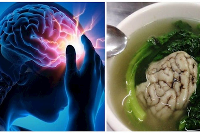 Ai rối loạn tiền đình, đau đầu, chóng mặt, mất ngủ: Hầm thứ này lên mỗi ngày ăn 1 bát để trị dứt điểm