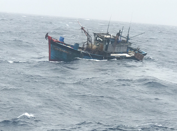 Đà Nẵng: Xét nghiệm SARS-CoV-2 cho tất cả thuyền viên tàu cá vào tránh trú bão