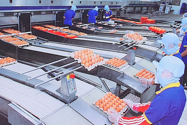 Doanh nghiệp TP Hồ Chí Minh thích ứng tình hình mới