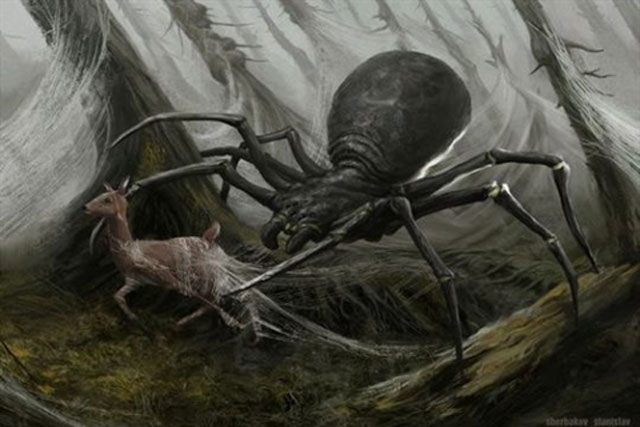 Thực hư quái vật nhện khổng lồ có thể giết người