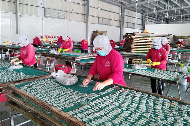 Thu nhập của người lao động giảm mạnh do dịch COVID-19 