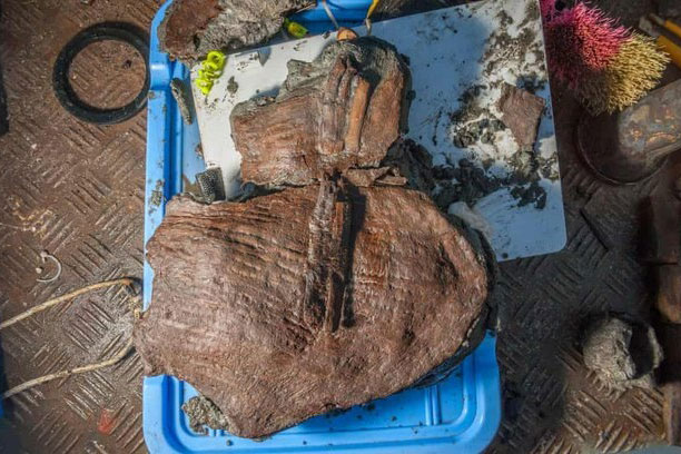 Chiếc giỏ chìm dưới đáy biển 2.400 năm vẫn chứa đầy trái cây