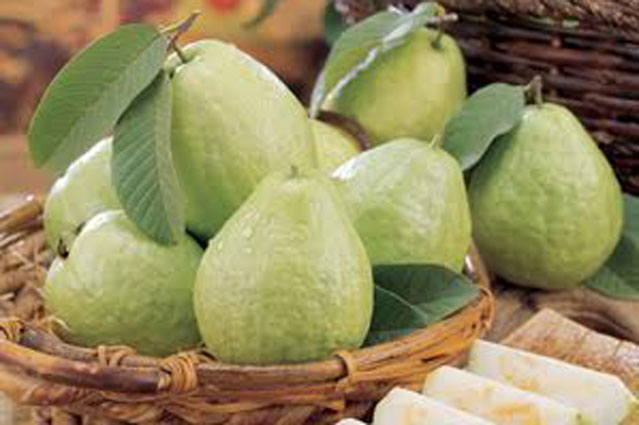 Một quả ổi đào giúp loại bỏ nitrite trong 18 cây xúc xích