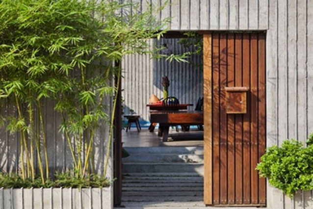 7 loại cây phong thủy đẹp, trồng trước nhà giúp gia tăng may mắn, tài lộc cho gia chủ