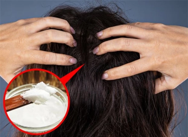 Vì sao nhiều người trẻ tóc bạc sớm và cách đảo ngược quá trình bạc tóc 3