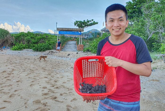 Hành trình 10 ngày 'đỡ đẻ' cho rùa ở Côn Đảo