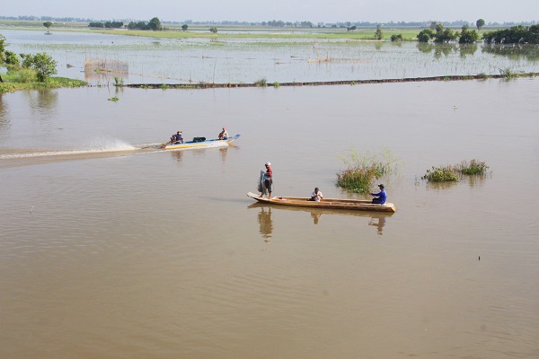 Mưu sinh mùa nước nổi ở miền Tây