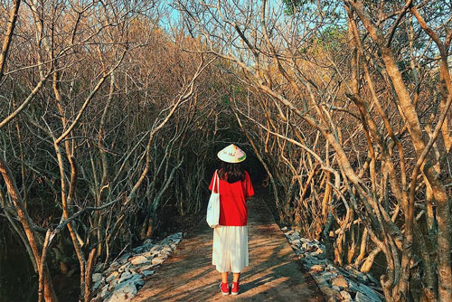 3 khu rừng 'sống ảo' đẹp nhất Việt Nam, ai cũng ‘phải lòng’ vì lên ảnh đẹp như phim