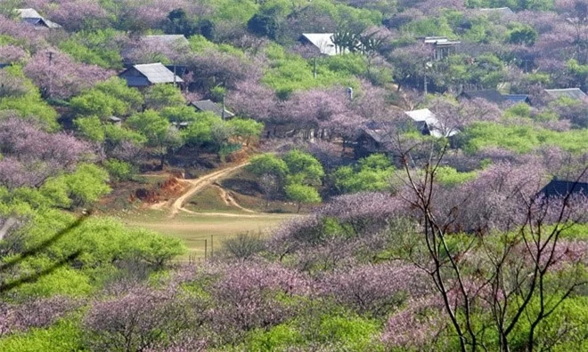 nhung diem du lich dac biet hap dan co mot khong hai tren the gioi