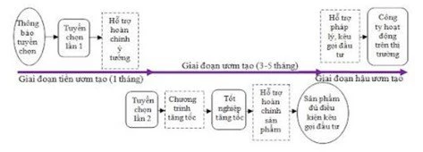 Quy trình ươm tạo doanh nghiệp khởi nghiệp.