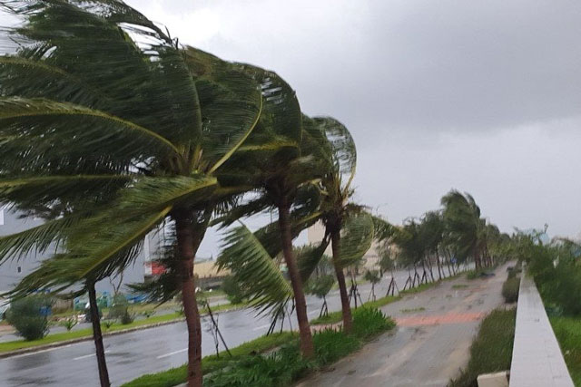 Bão số 8 cách quần đảo Hoàng Sa 610km, giật cấp 13