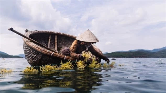 tai sao hoi an co the lay long duoc khach nuoc ngoai